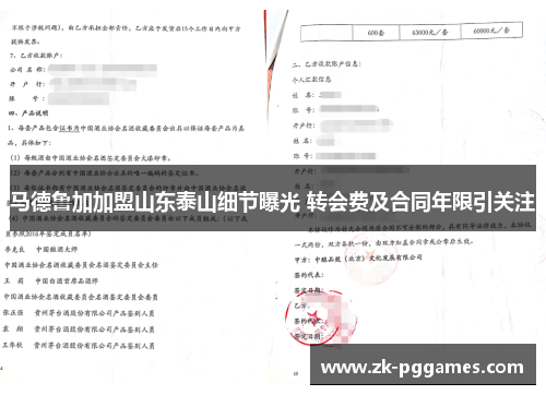 马德鲁加加盟山东泰山细节曝光 转会费及合同年限引关注